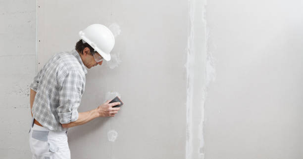 Best Asbestos and Lead Testing During Mold Inspection  in East Missoula, MT