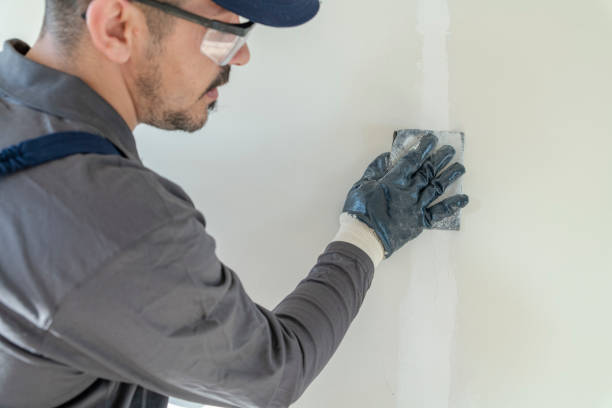 Best Black Mold Removal  in East Missoula, MT