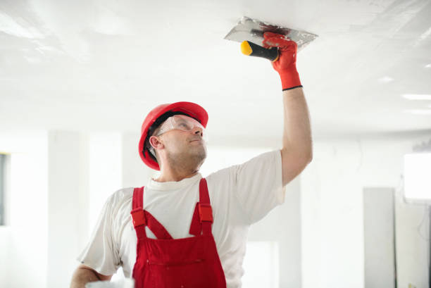 Best Mold-Related Health Consultation  in East Missoula, MT