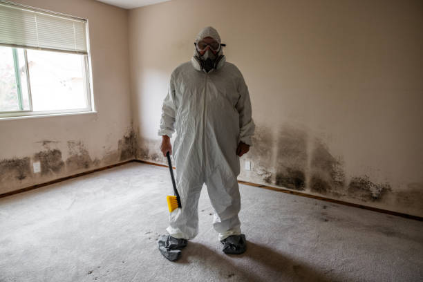 East Missoula, MT Mold Removal Company