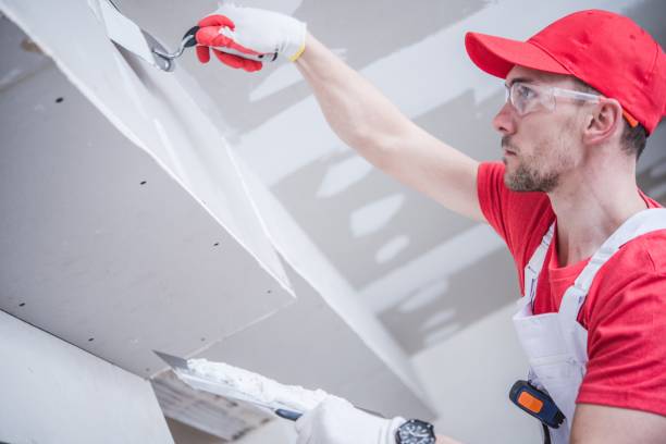 Best Attic Mold Removal  in East Missoula, MT